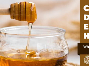 Can Diabetics Eat Honey? Is Honey Safe for Diabetics? What the Research Says