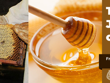 The Journey of Honey: From Beehive to Bottle