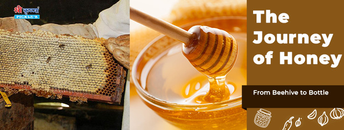 The Journey of Honey: From Beehive to Bottle